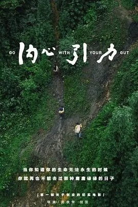 内心引力：探索情感深处的感人故事